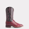 Roy :: Black Cherry + Black