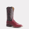 Roy :: Black Cherry + Black