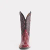Roy :: Black Cherry + Black