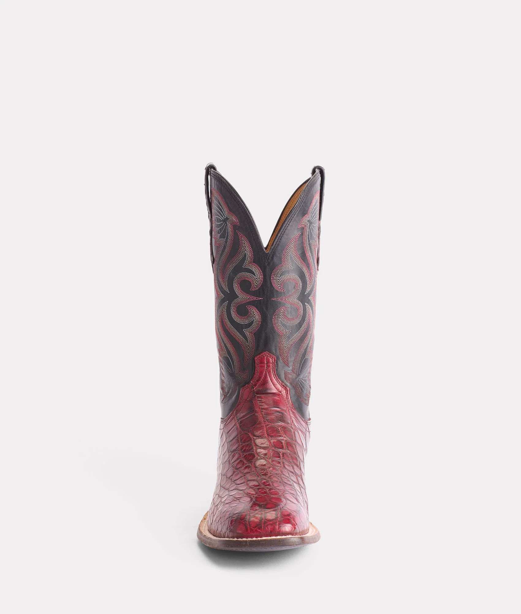 Roy :: Black Cherry + Black