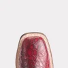 Roy :: Black Cherry + Black