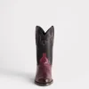 Sunset Exotic :: Black Cherry