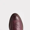 Sunset Exotic :: Black Cherry