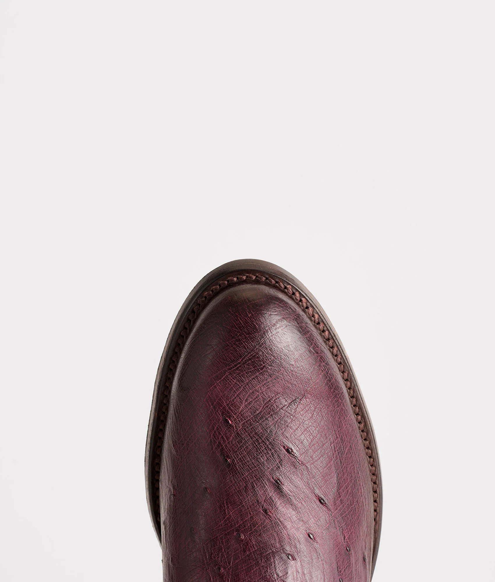 Sunset Exotic :: Black Cherry