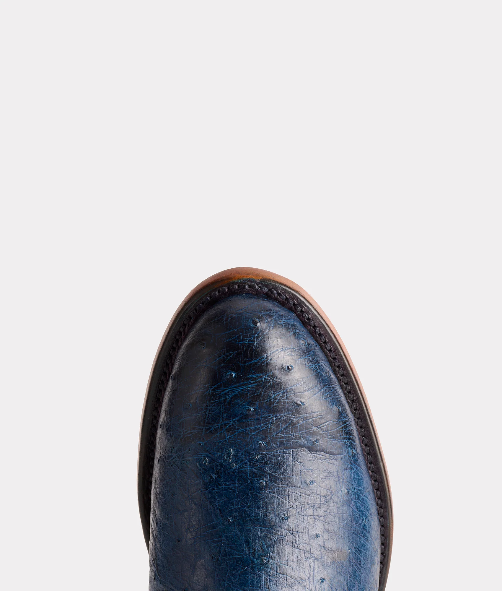 Sunset Exotic :: Navy
