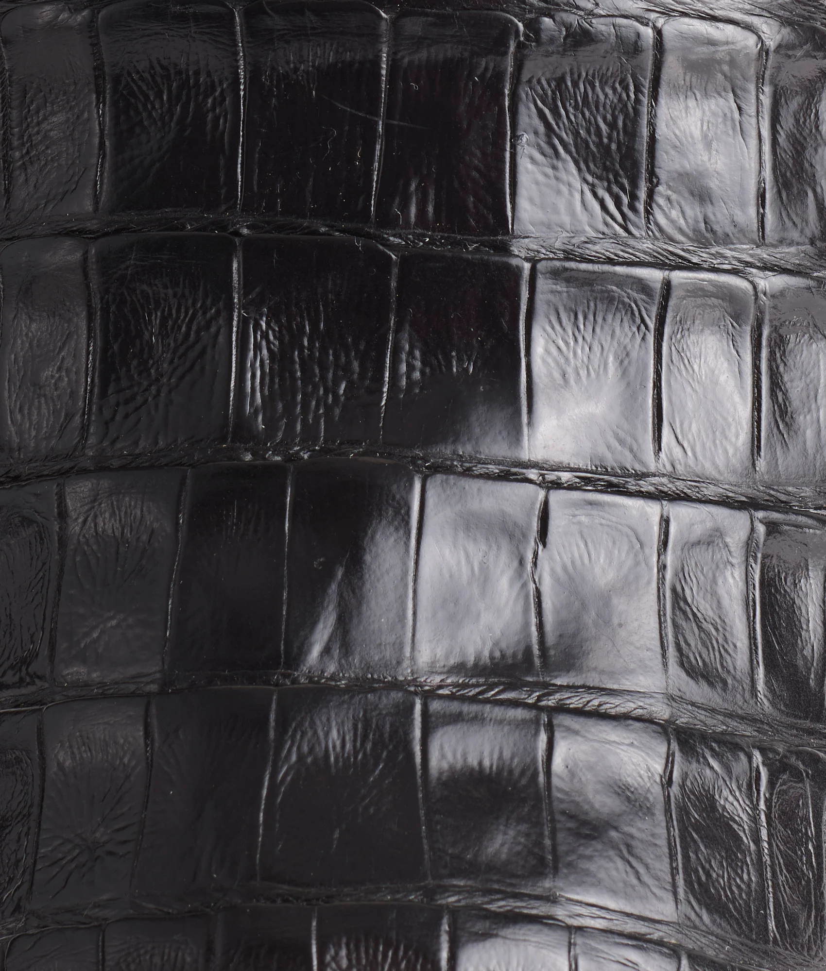 Trent :: Black