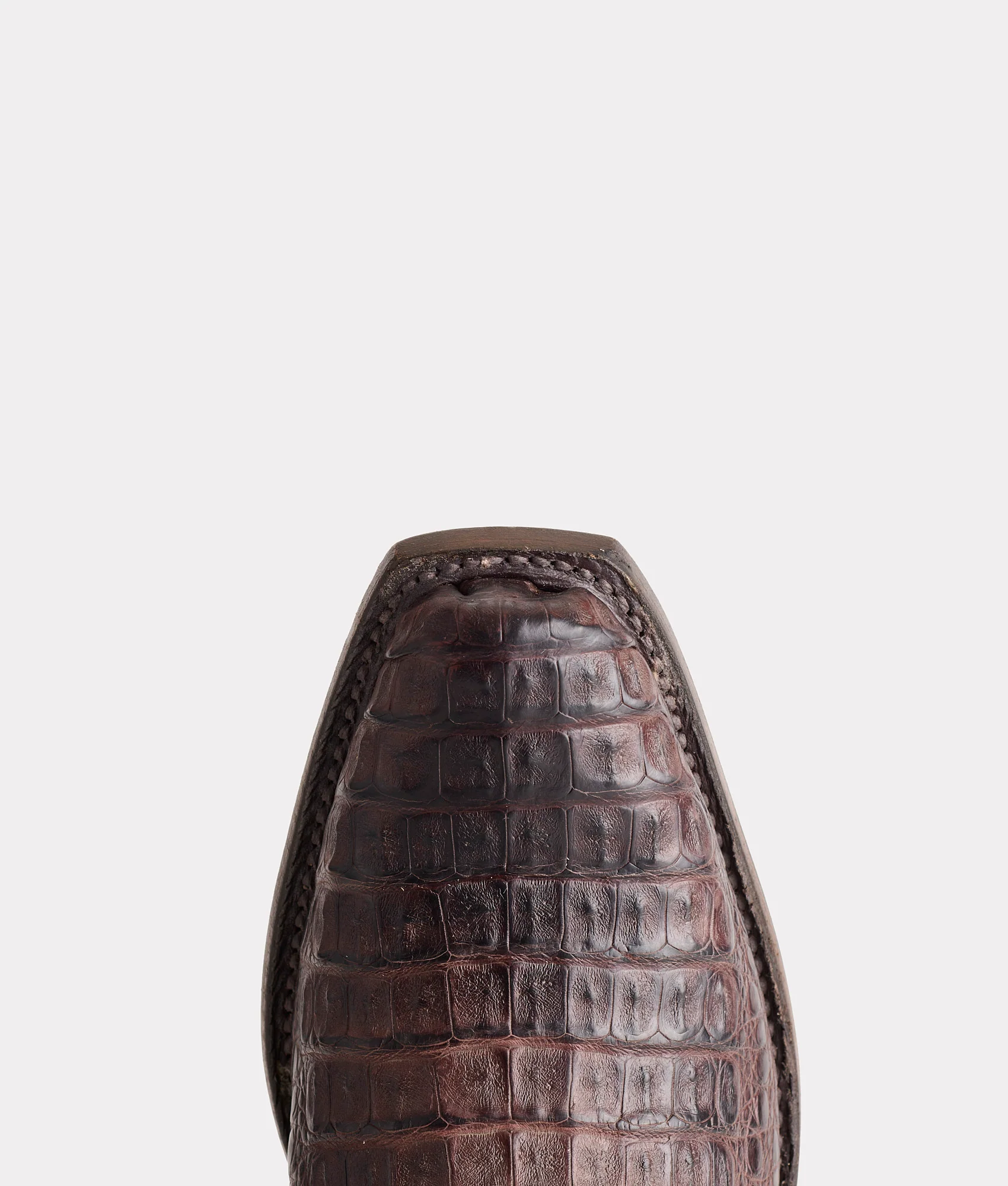 Walter :: Barrel Brown + Chocolate