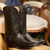 Collins :: Black