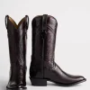 Gavin :: Black Cherry