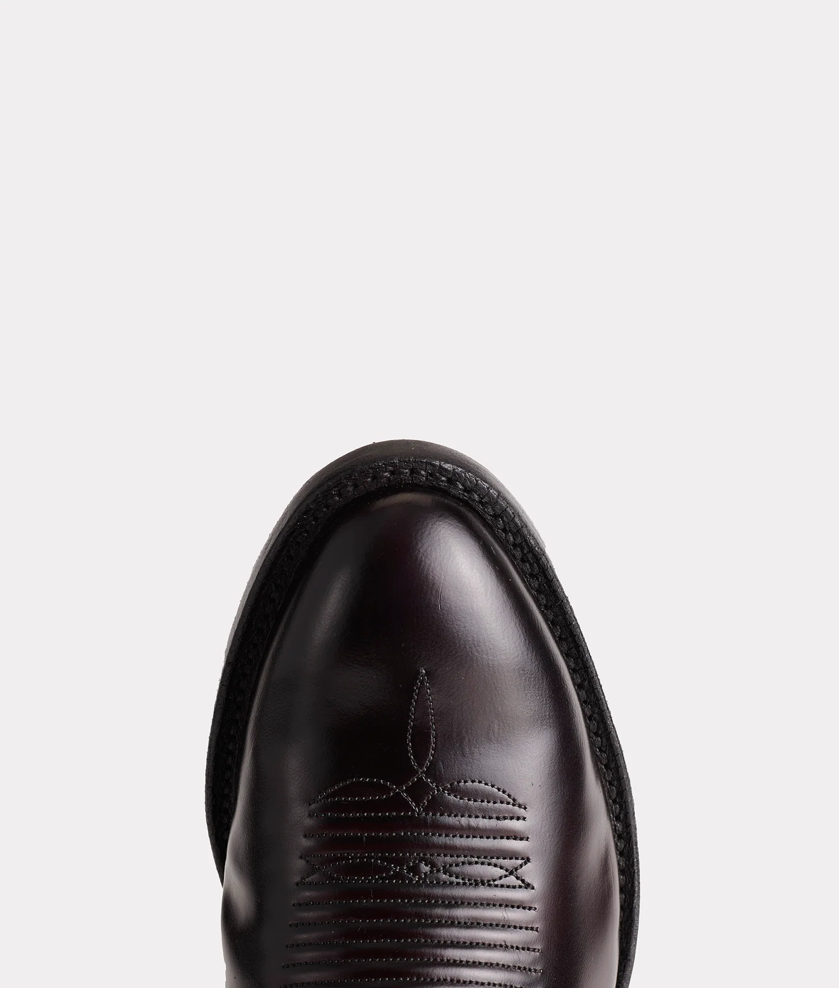 Gavin :: Black Cherry