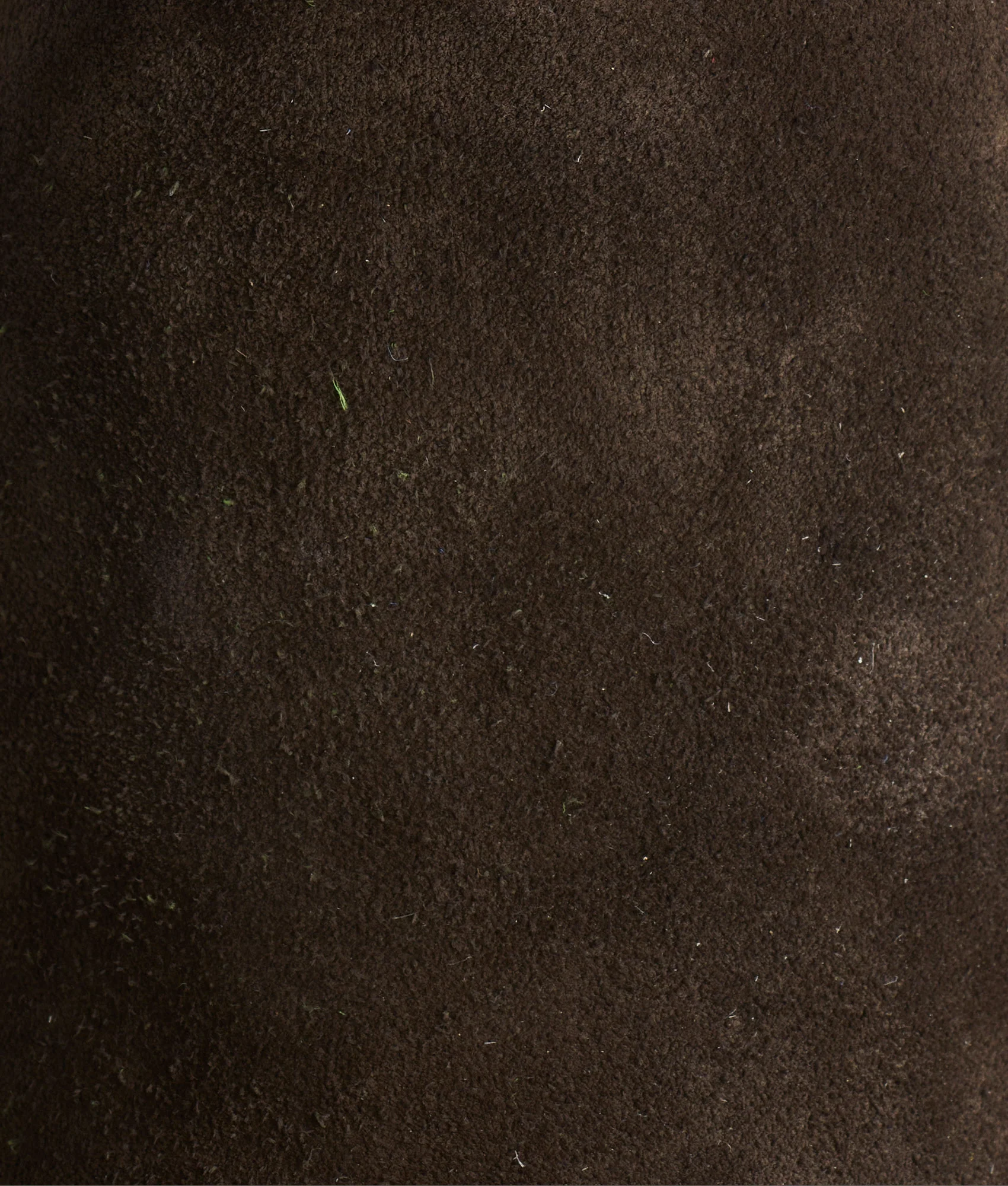 Stead :: Olive + Leaf