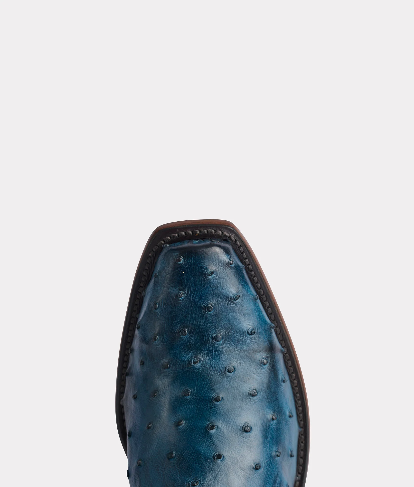 Elgin :: Navy + Black