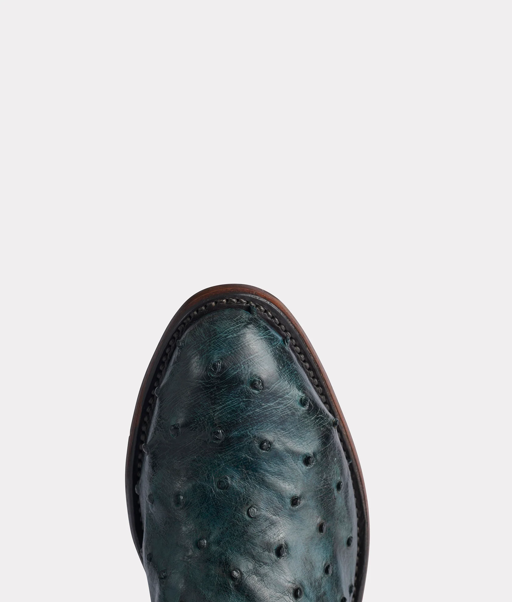 Elgin :: Navy + Black