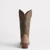 Brazos :: Shell