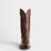 Corbin :: Chocolate + Mad Dog Goat
