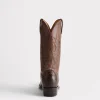 Corbin :: Chocolate + Mad Dog Goat