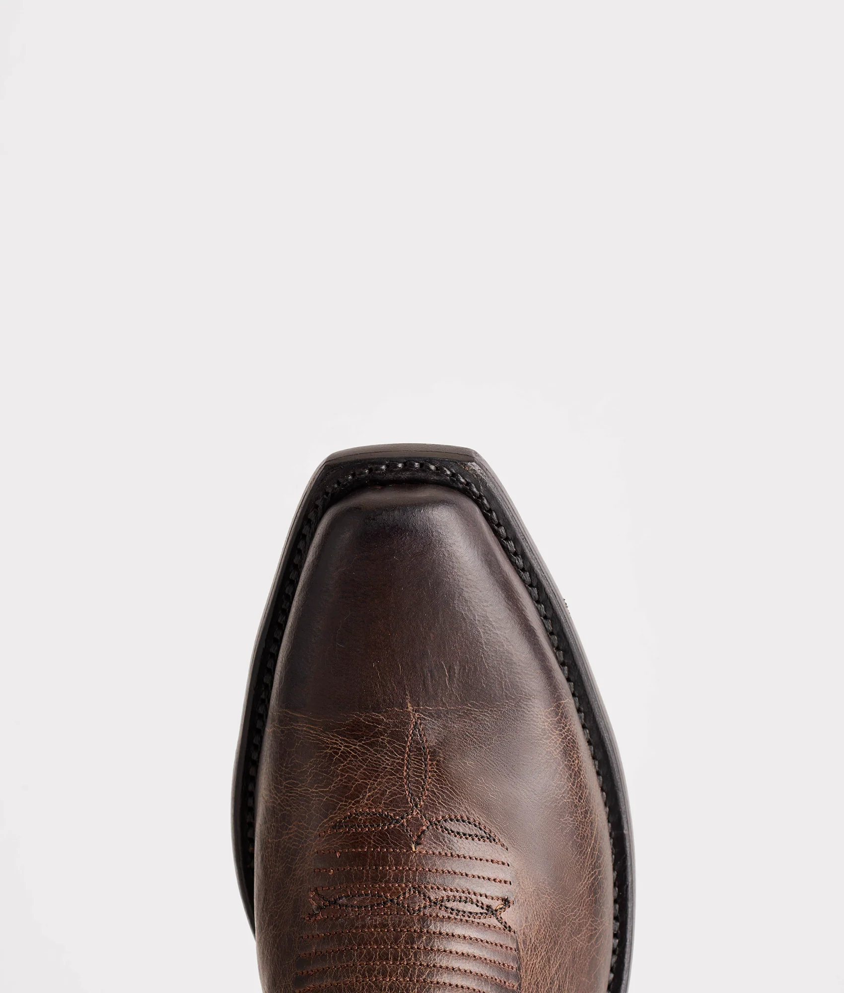 Corbin :: Chocolate + Mad Dog Goat