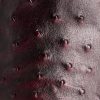 Augustus :: Black Cherry