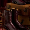 Augustus :: Black Cherry