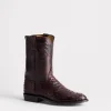 Augustus :: Black Cherry