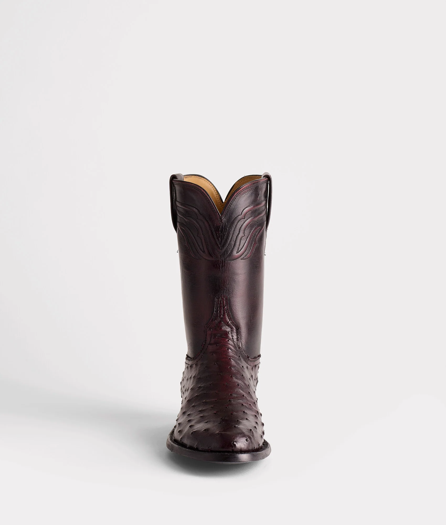 Augustus :: Black Cherry