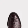 Augustus :: Black Cherry