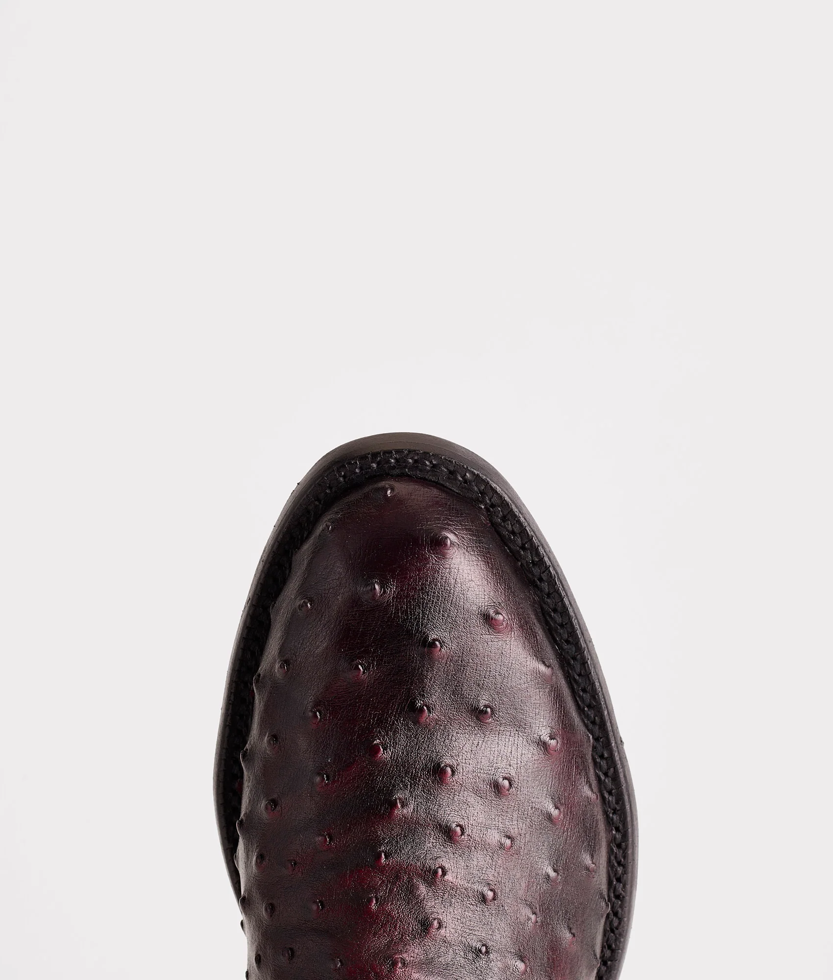 Augustus :: Black Cherry