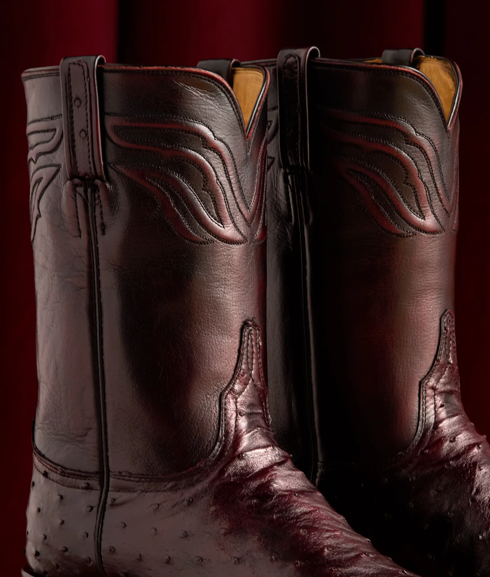 Augustus :: Black Cherry