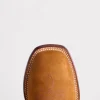 Gordon :: Peanut
