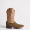 Gordon :: Olive