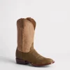 Gordon :: Olive