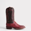 Cecil Exotic :: Black Cherry