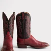 Cecil Exotic :: Black Cherry