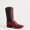 Cecil Exotic :: Black Cherry