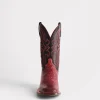 Cecil Exotic :: Black Cherry