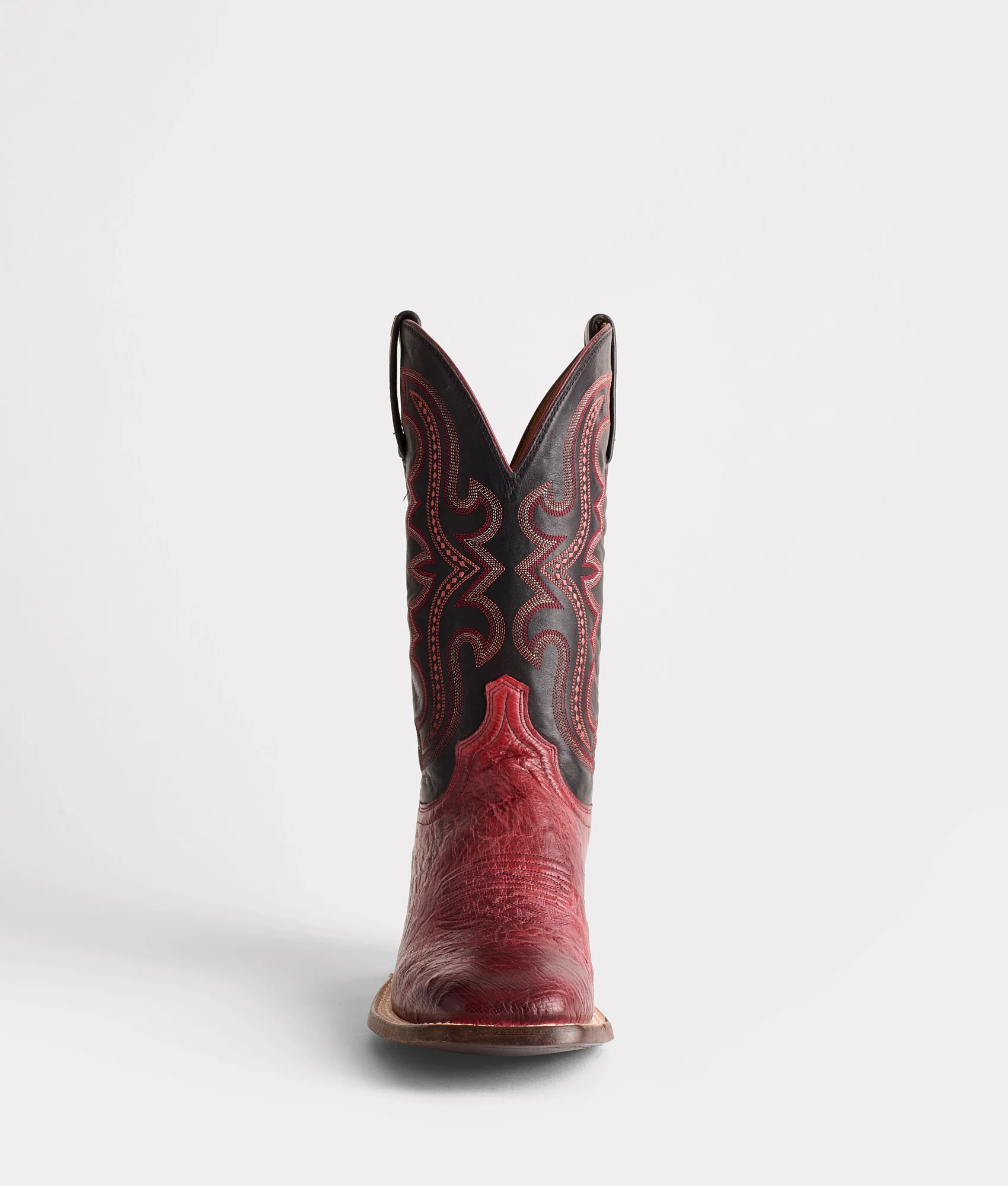 Cecil Exotic :: Black Cherry