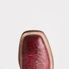 Cecil Exotic :: Black Cherry