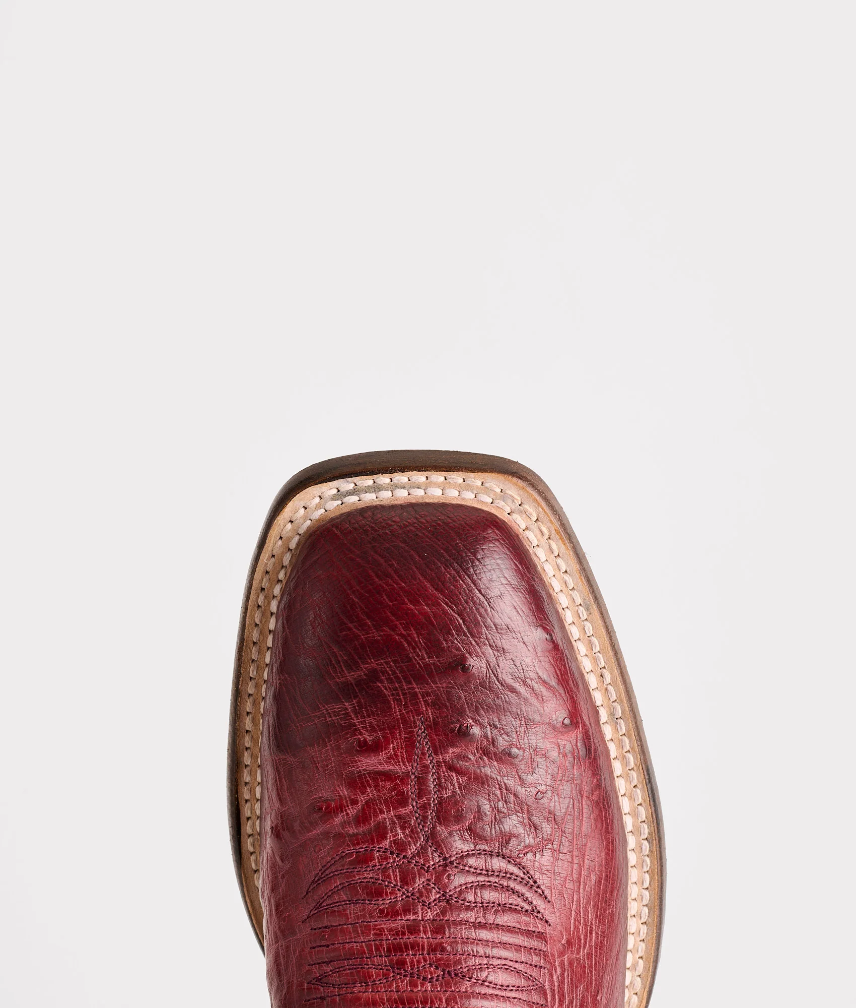 Cecil Exotic :: Black Cherry