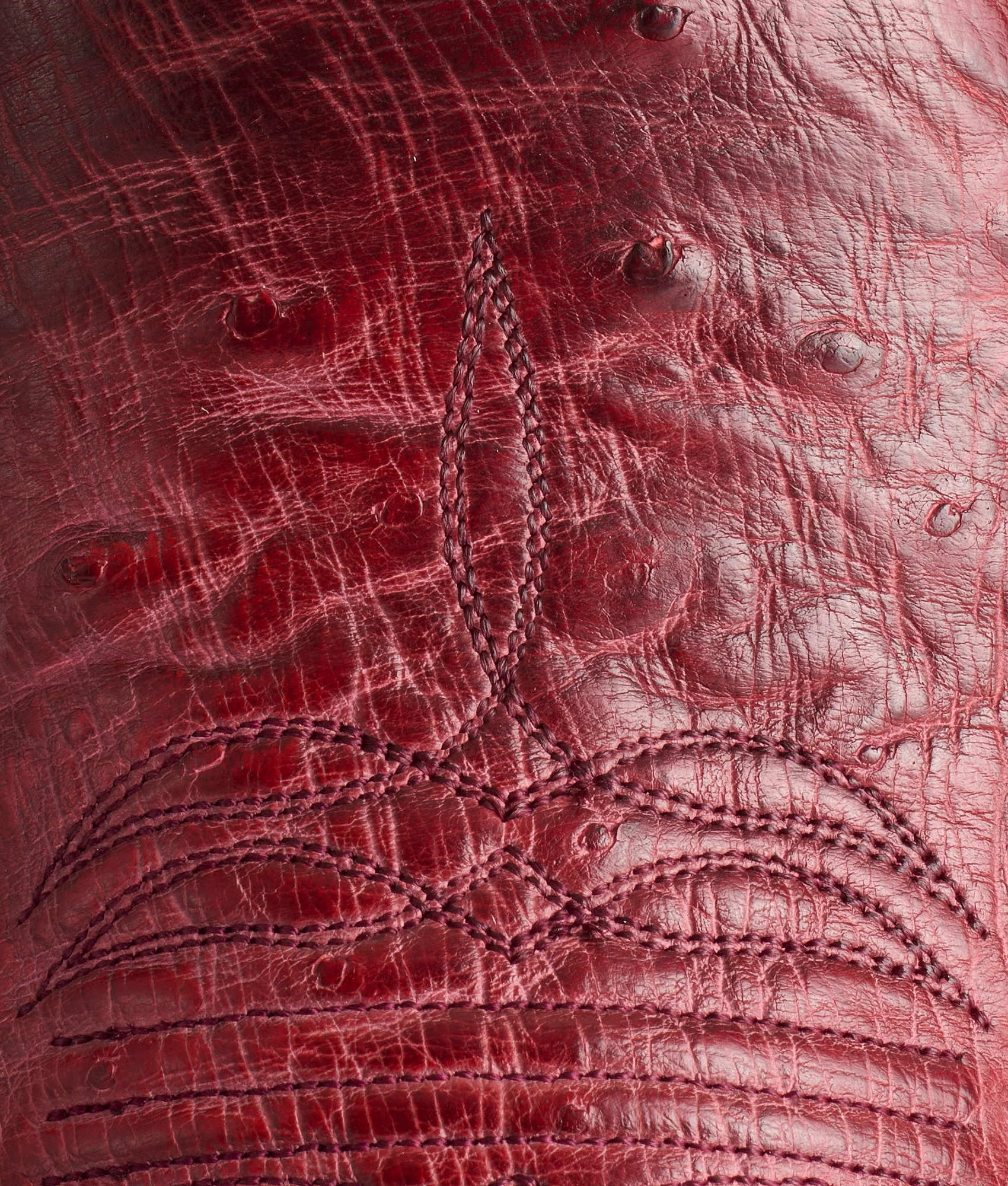 Cecil Exotic :: Black Cherry