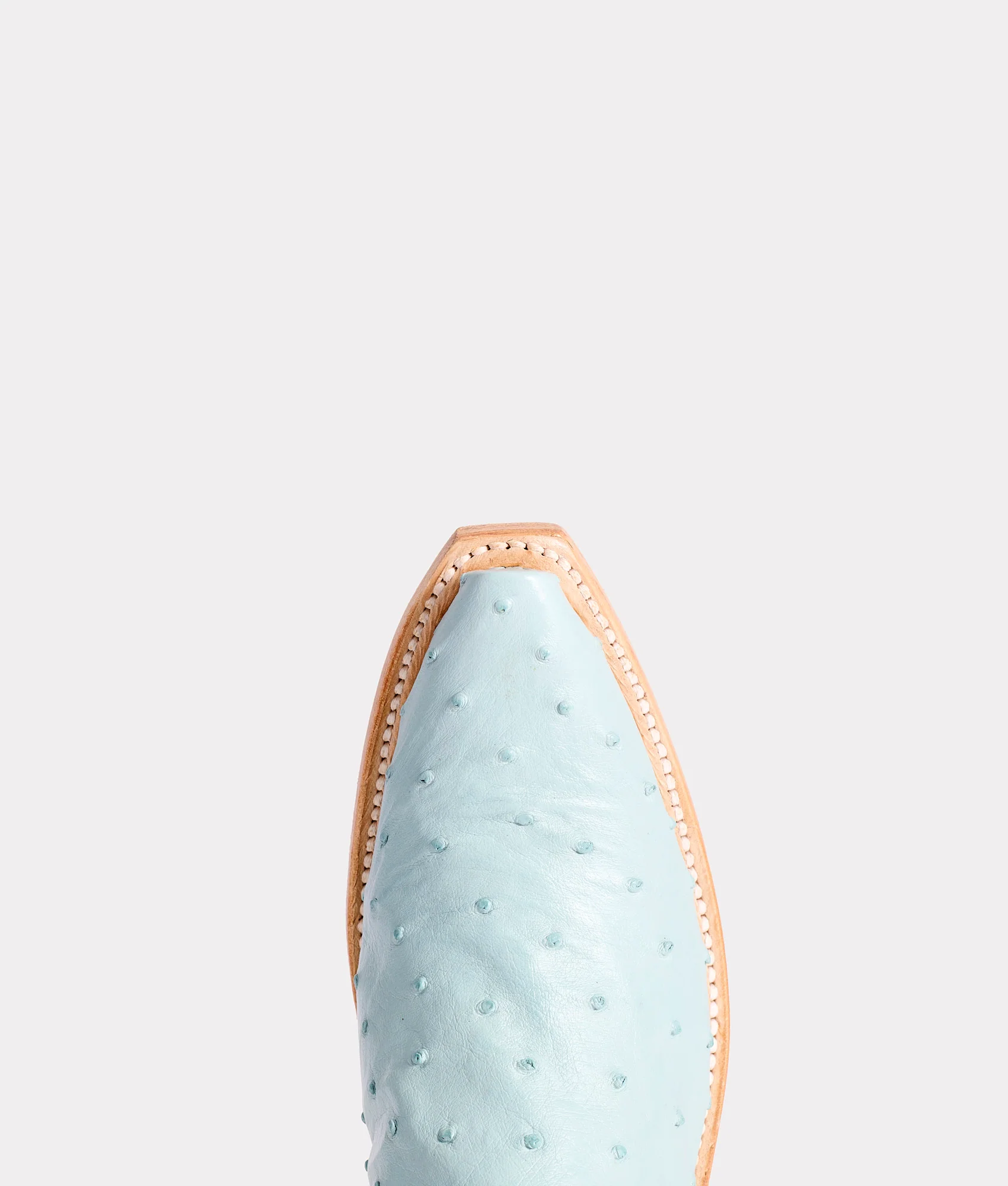 Dolly :: Sky Blue