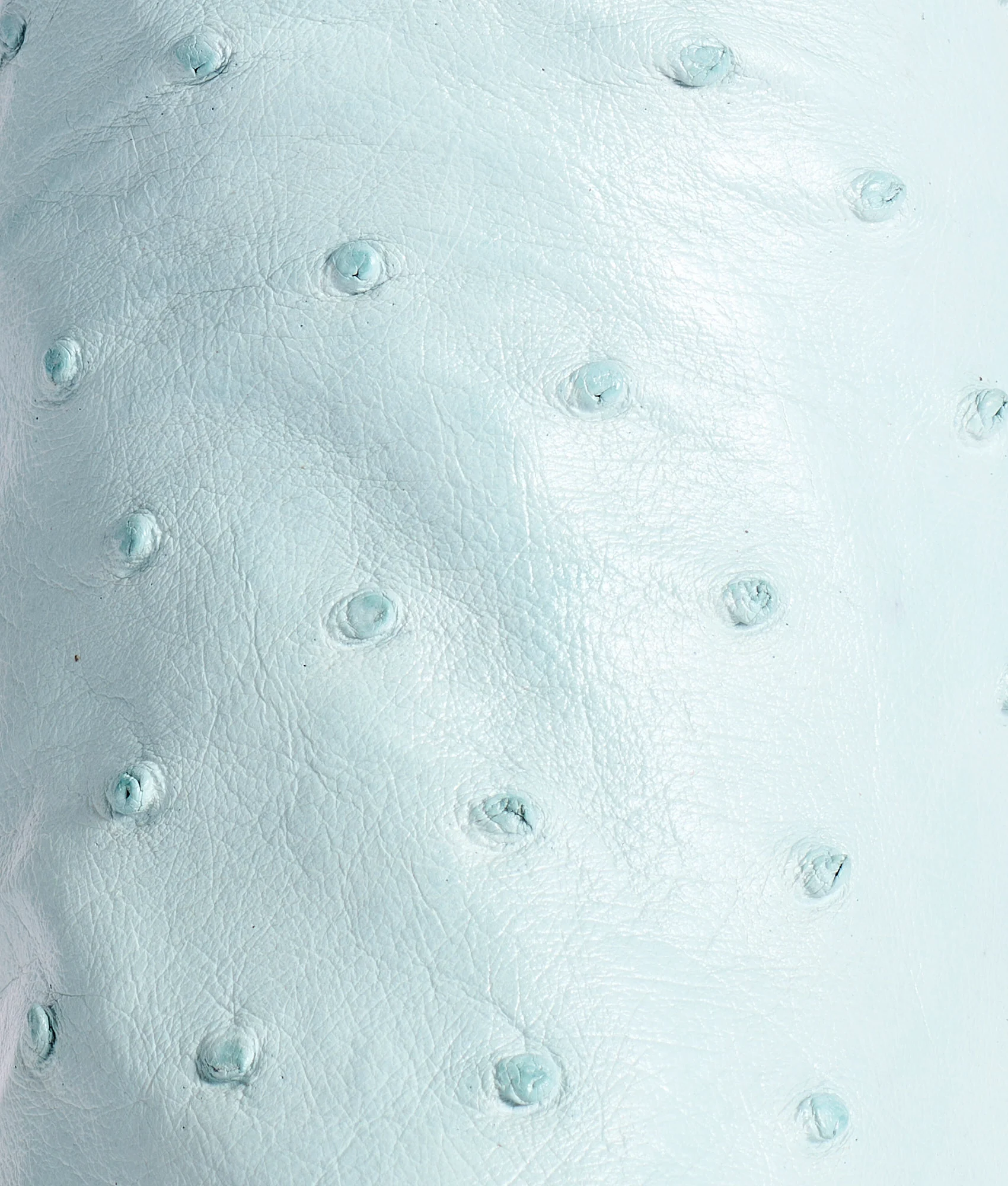 Dolly :: Sky Blue