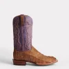 Hwy 285 Horseman :: Brandy