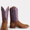 Hwy 285 Horseman :: Brandy