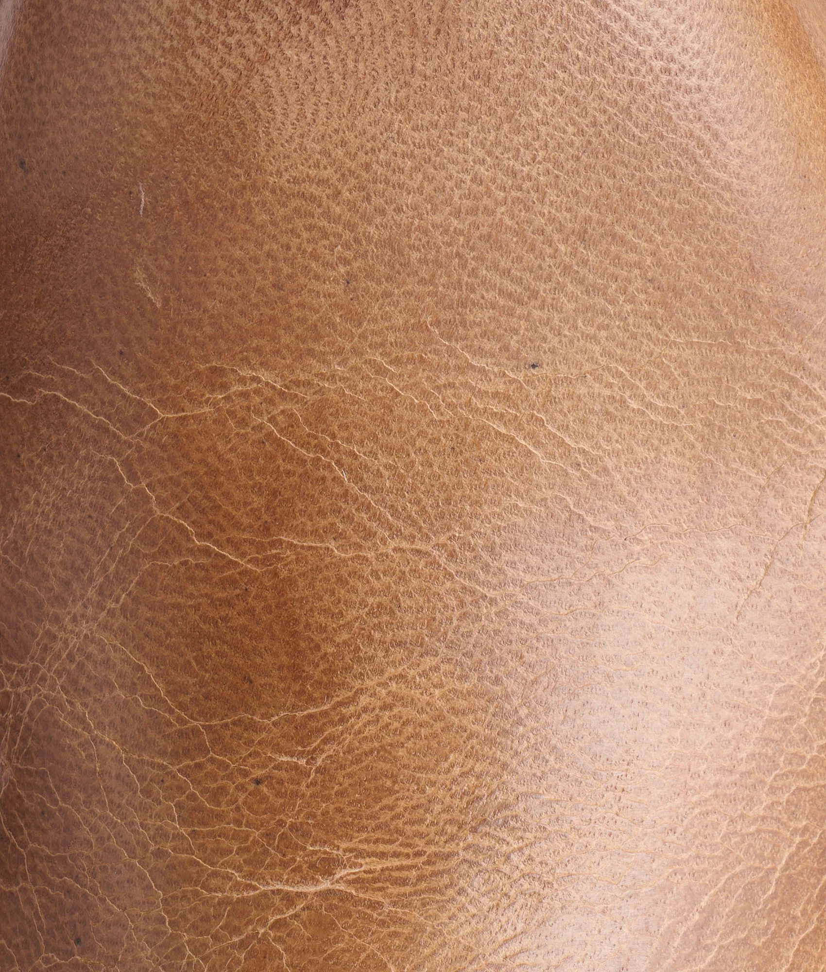 Sunset Roper :: Pearl Bone