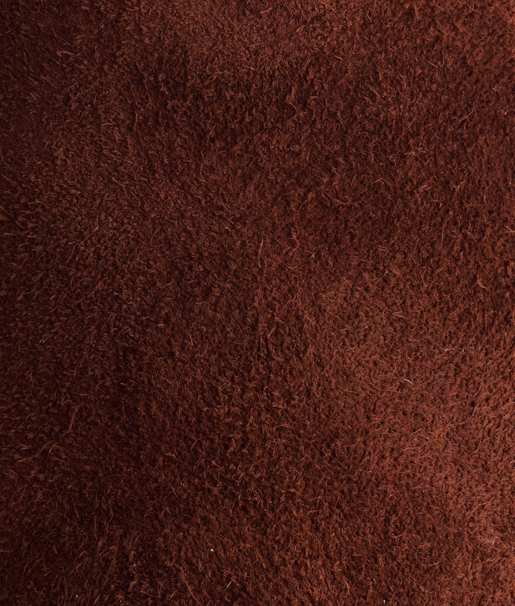 Old Friend :: Chocolate