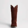 Old Friend :: Chocolate