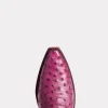 Dolly :: Plum
