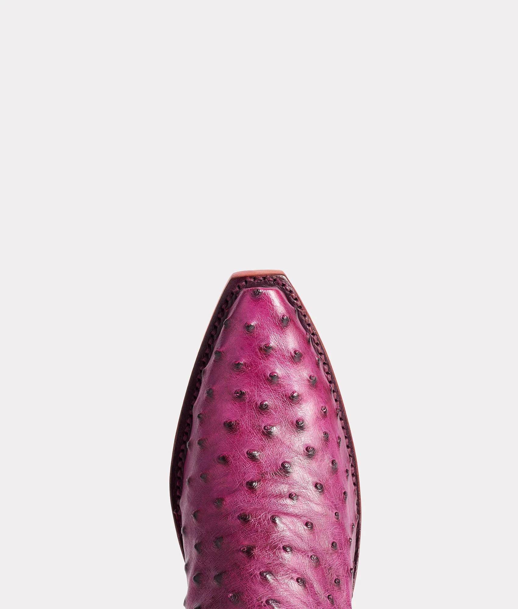 Dolly :: Plum