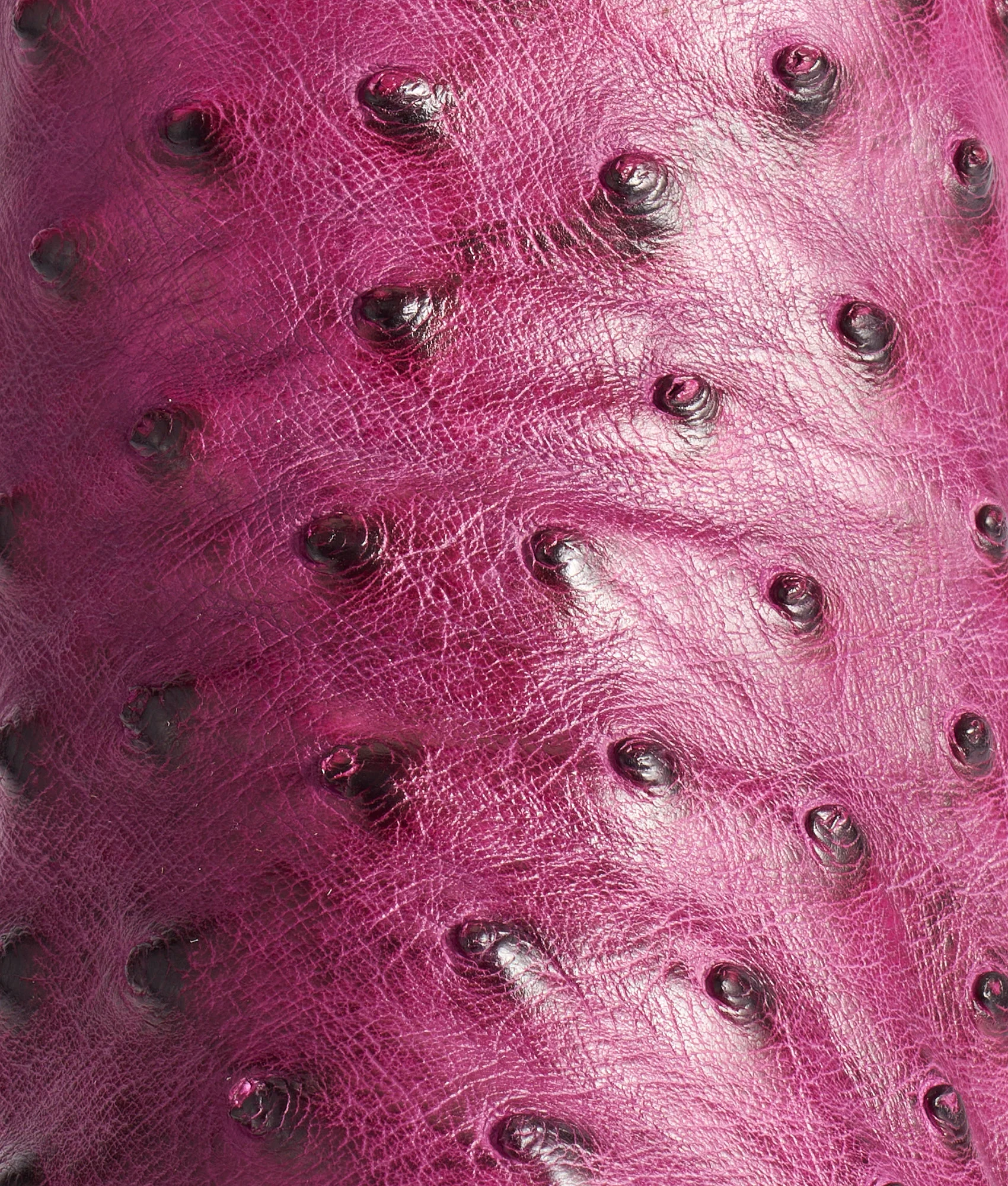 Dolly :: Plum