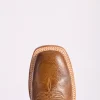 Cecil Exotic :: Sienna